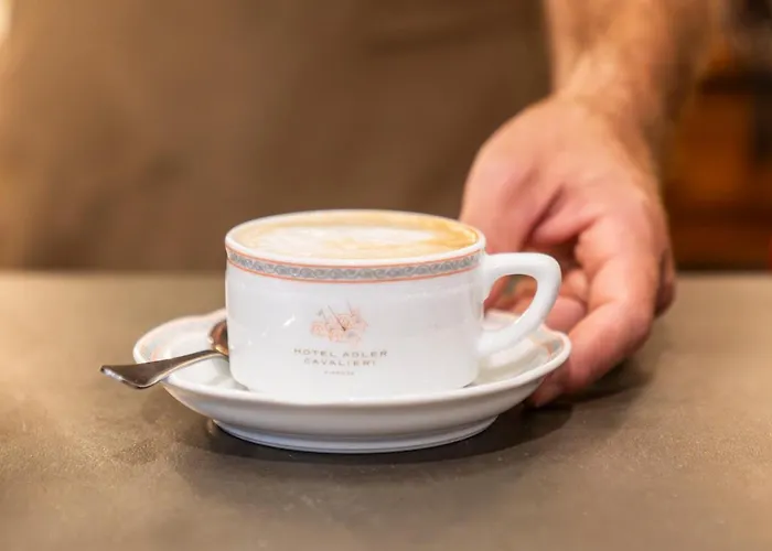 Adler Cavalieri Hotel-Private Spa & Gym Florence